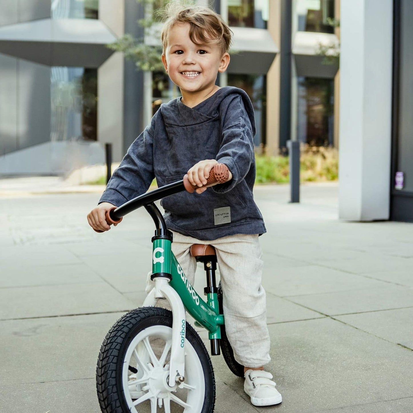 Cariboo Ledventure (Green-Brown)