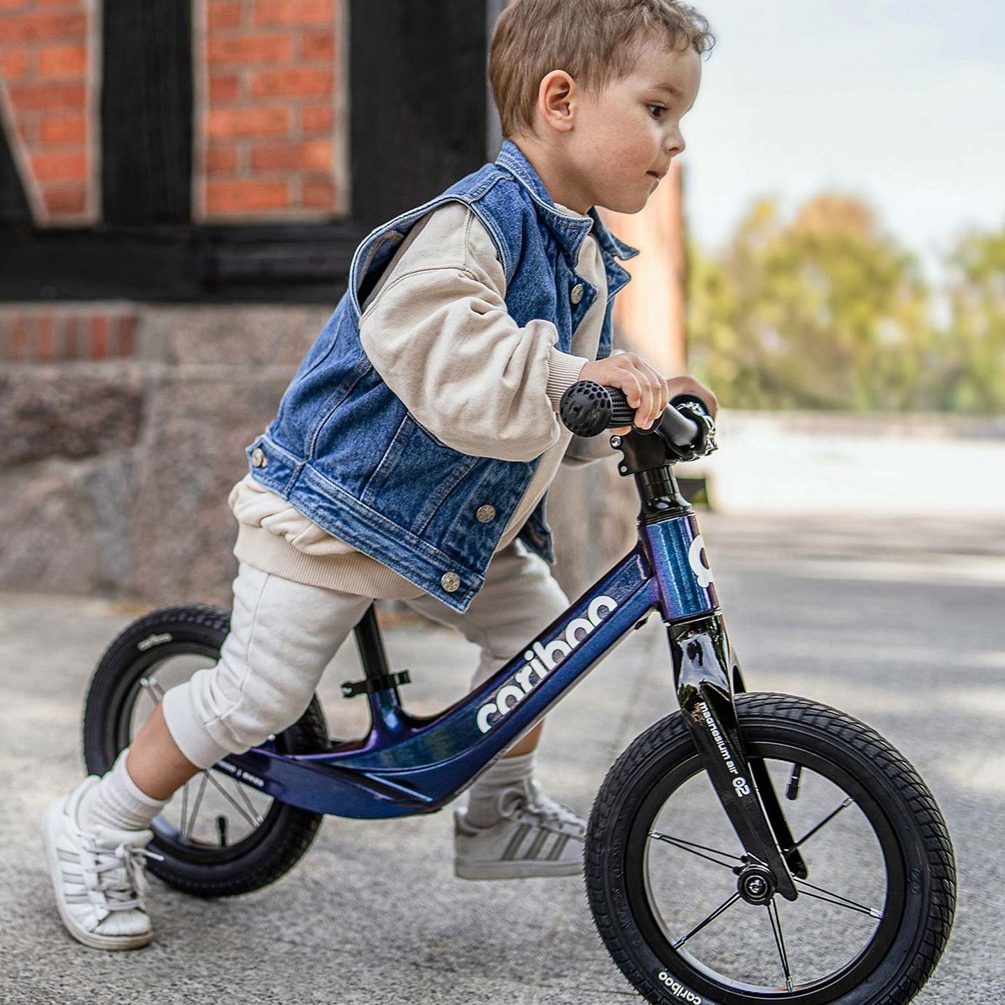 Cariboo Magnesium Air (Chameleon)