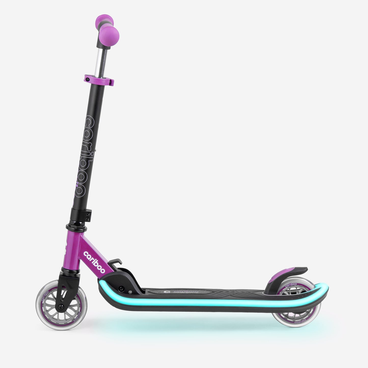 Cariboo LEDstar (pink)