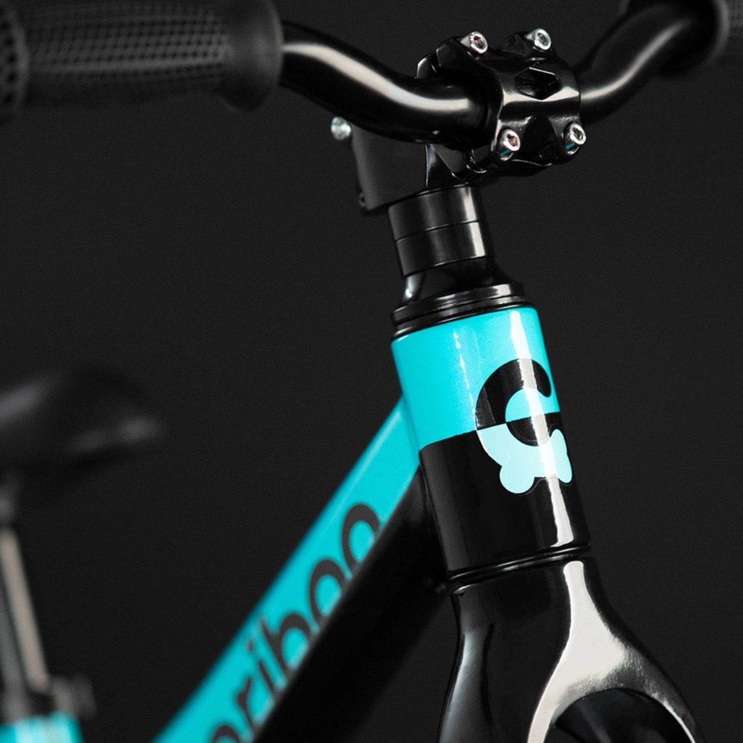 Cariboo Magnesium Air (Black-Turquoise)